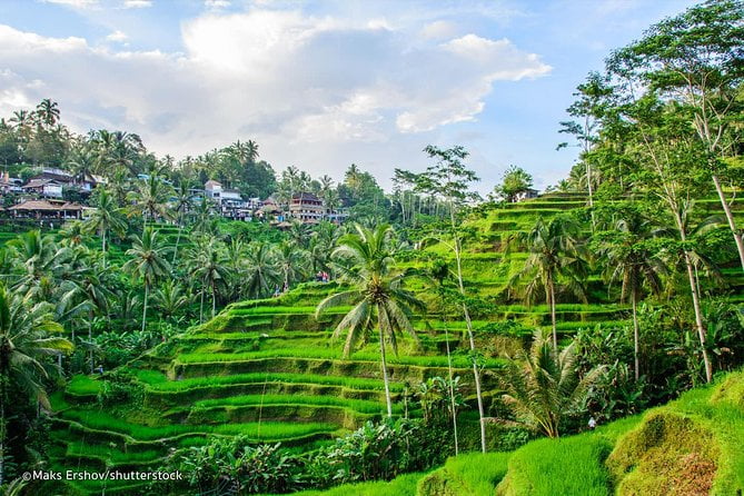 Kết quả hình ảnh cho Ubud"