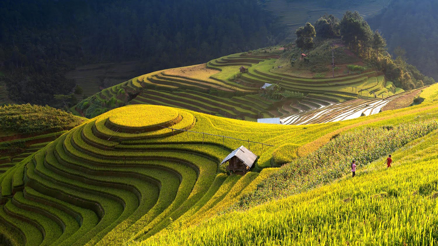 Hoàng Su Phì